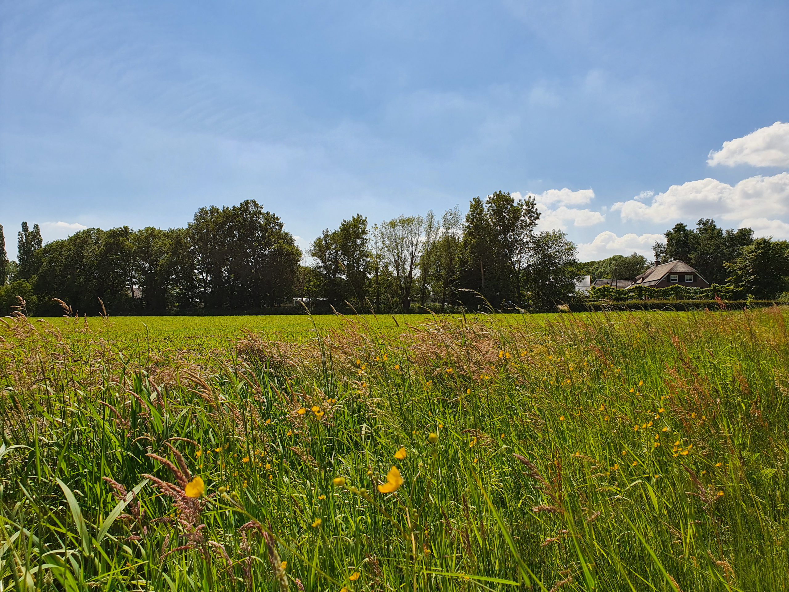 Boerderijcamping “Het Boltsebroek” — photo 5